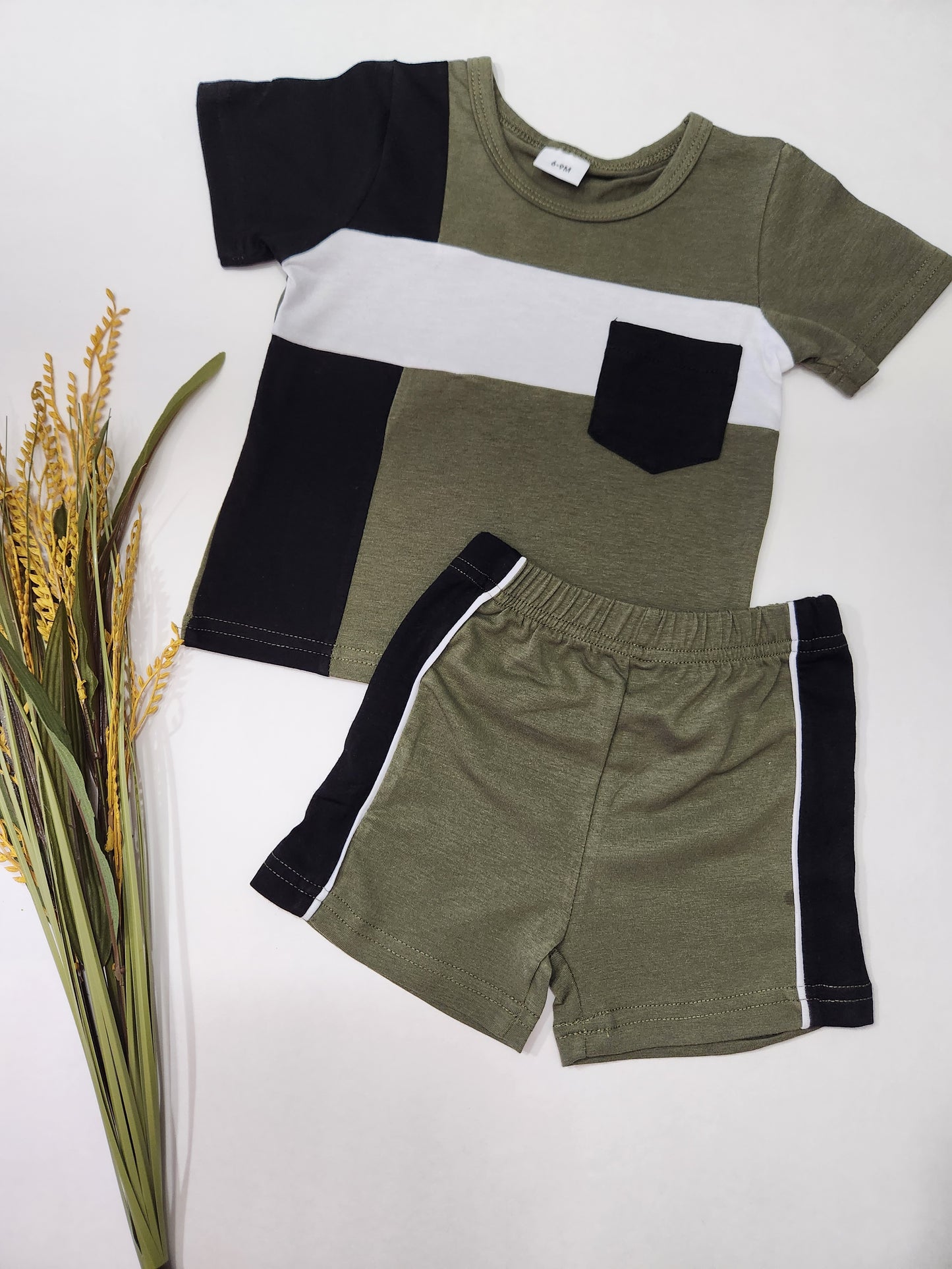 2pcs Baby Boy Short-sleeve T-shirt and Shorts Set